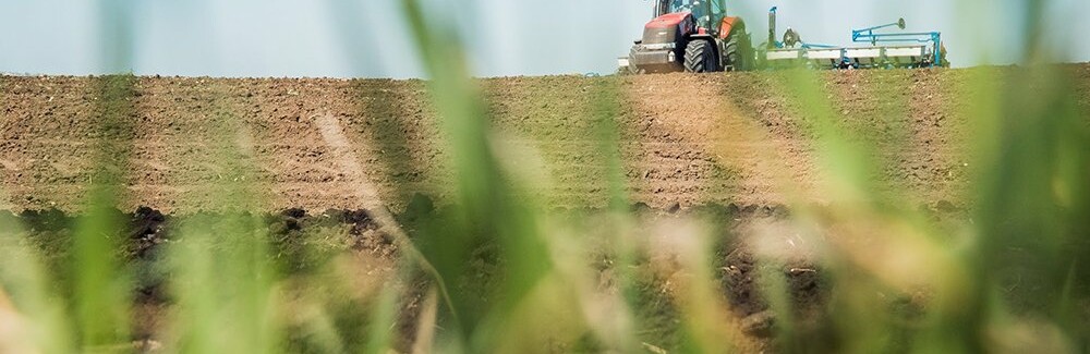 Майже 170 тисяч га мають засіяти на зиму на Черкащині