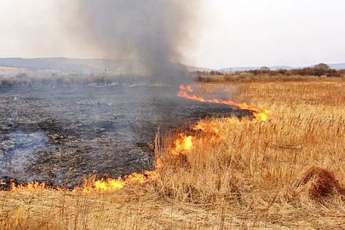  Не палити суху траву закликають Черкащан