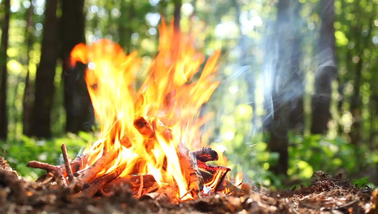 Утримується надзвичайна пожежна небезпека у лісах Черкащини