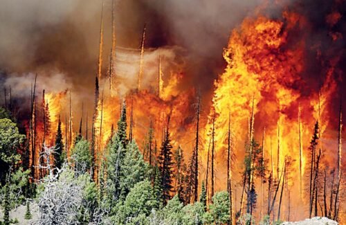 Триває пожежонебезпечний сезон у лісах Черкащини