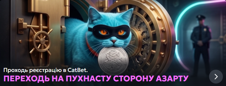 CatBet: все, що потрібно знати перед першою грою