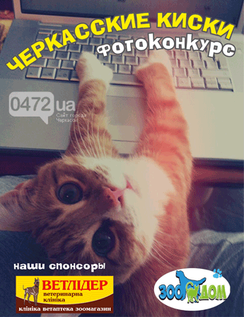 киски1