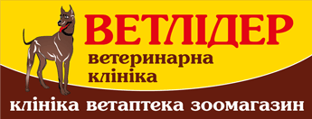 Ветлидер